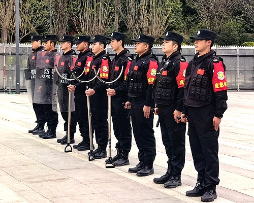 成都高新手艺创业中心保安效劳
