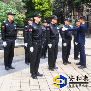 大同峰荟安保效劳